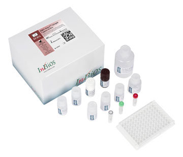 Scrub Typhus IgM Elisa